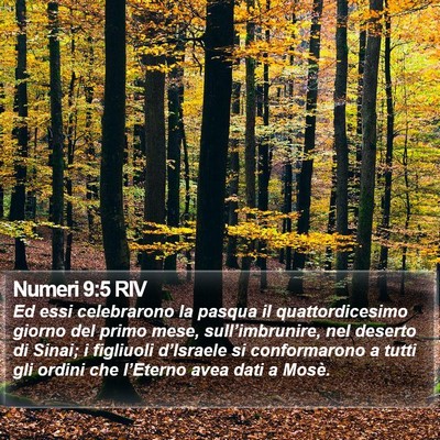 Numeri 9:5 RIV Bible Verse Image