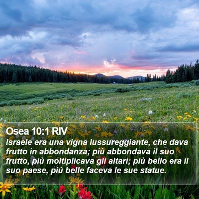 Osea 10:1 RIV Bible Verse Image