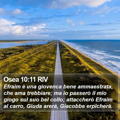 Osea 10:11 RIV Bible Verse Image