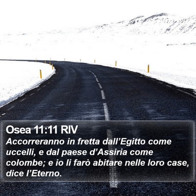 Osea 11:11 RIV Bible Verse Image