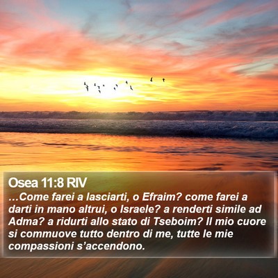 Osea 11:8 RIV Bible Verse Image