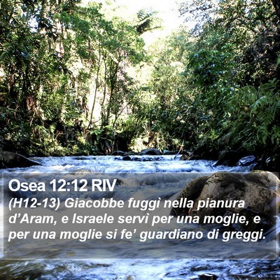 Osea 12:12 RIV Bible Verse Image