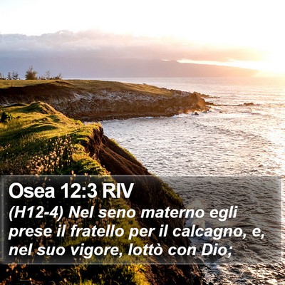 Osea 12:3 RIV Bible Verse Image