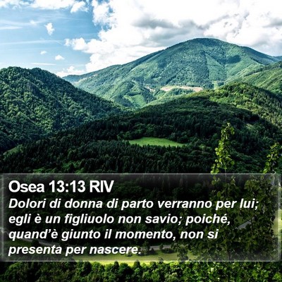 Osea 13:13 RIV Bible Verse Image