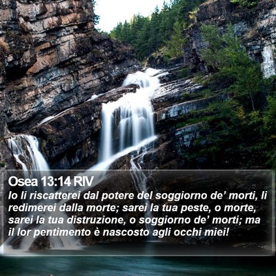 Osea 13:14 RIV Bible Verse Image