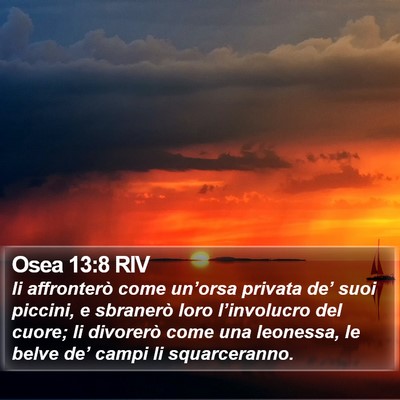 Osea 13:8 RIV Bible Verse Image