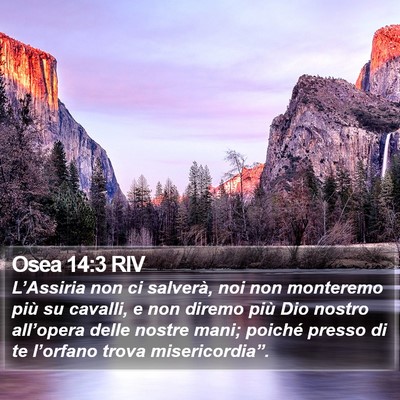 Osea 14:3 RIV Bible Verse Image