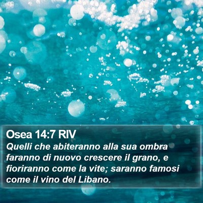 Osea 14:7 RIV Bible Verse Image
