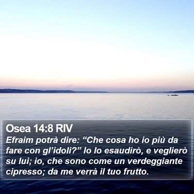 Osea 14:8 RIV Bible Verse Image