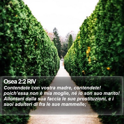Osea 2:2 RIV Bible Verse Image