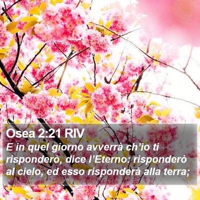 Osea 2:21 RIV Bible Verse Image