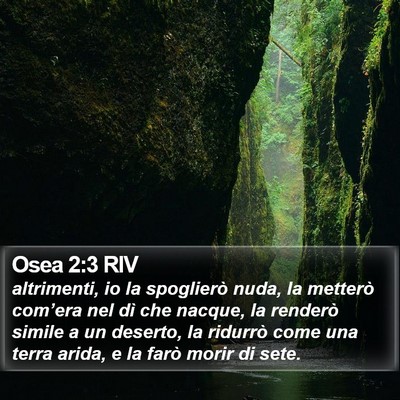 Osea 2:3 RIV Bible Verse Image
