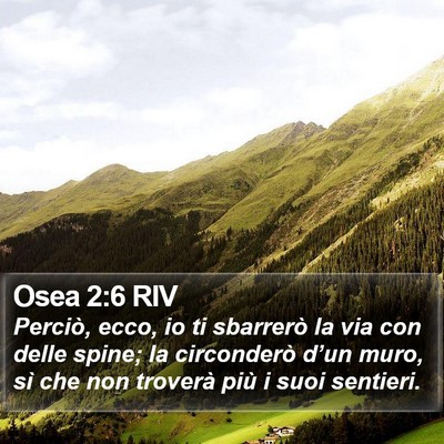 Osea 2:6 RIV Bible Verse Image
