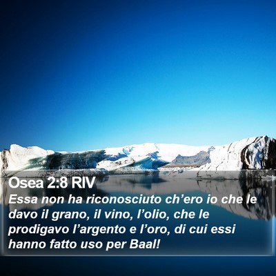 Osea 2:8 RIV Bible Verse Image