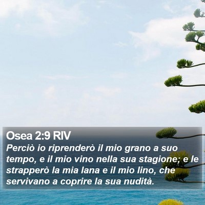 Osea 2:9 RIV Bible Verse Image