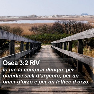 Osea 3:2 RIV Bible Verse Image