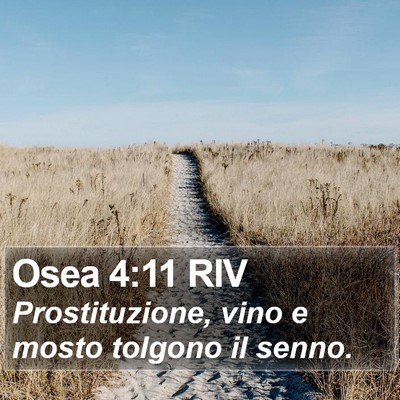 Osea 4:11 RIV Bible Verse Image