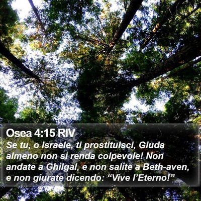 Osea 4:15 RIV Bible Verse Image
