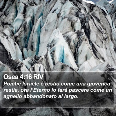 Osea 4:16 RIV Bible Verse Image