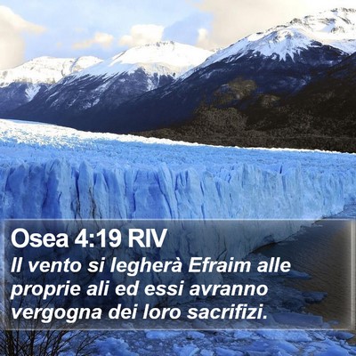 Osea 4:19 RIV Bible Verse Image