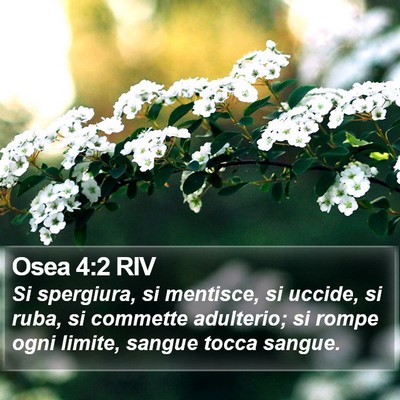 Osea 4:2 RIV Bible Verse Image