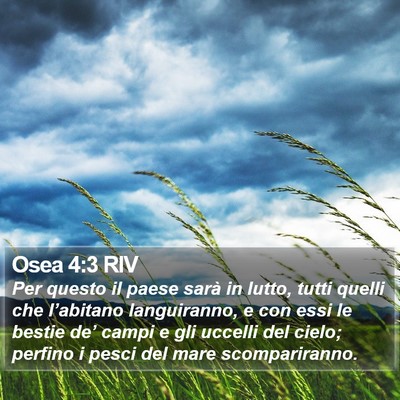 Osea 4:3 RIV Bible Verse Image