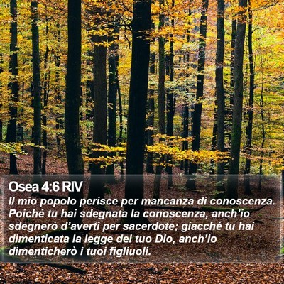 Osea 4:6 RIV Bible Verse Image