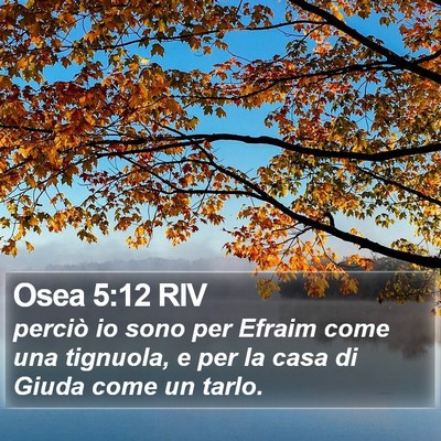 Osea 5:12 RIV Bible Verse Image