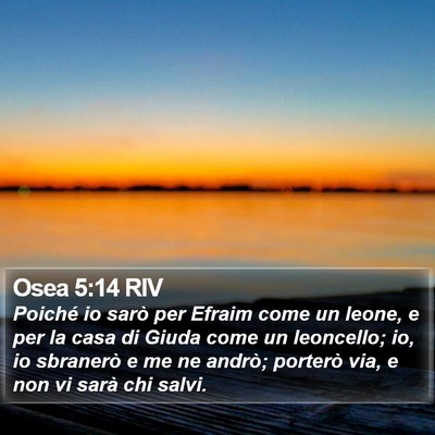 Osea 5:14 RIV Bible Verse Image