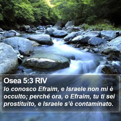 Osea 5:3 RIV Bible Verse Image