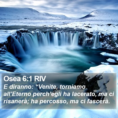Osea 6:1 RIV Bible Verse Image