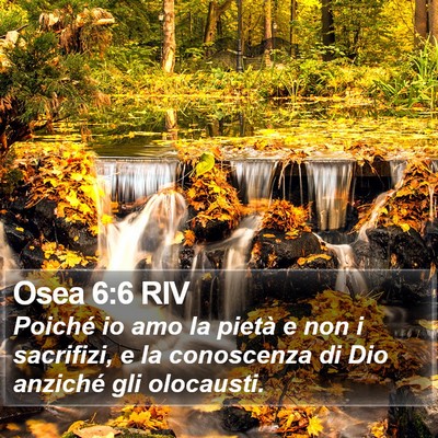 Osea 6:6 RIV Bible Verse Image