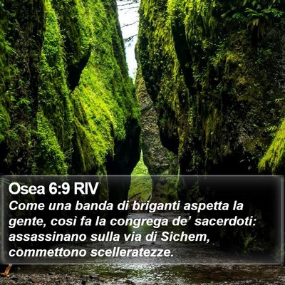 Osea 6:9 RIV Bible Verse Image