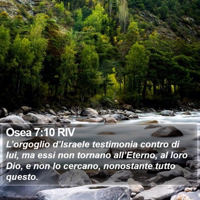 Osea 7:10 RIV Bible Verse Image