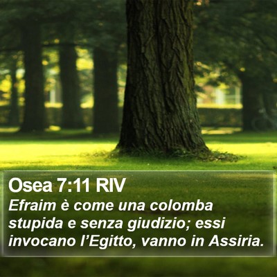 Osea 7:11 RIV Bible Verse Image