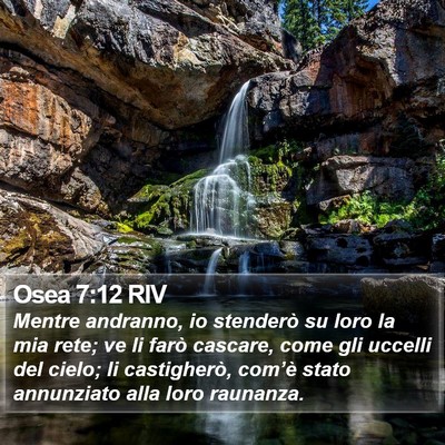 Osea 7:12 RIV Bible Verse Image
