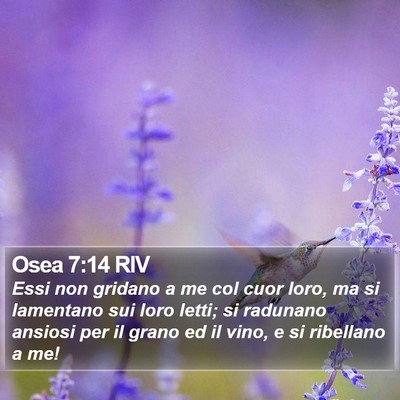 Osea 7:14 RIV Bible Verse Image