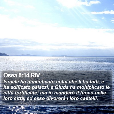 Osea 8:14 RIV Bible Verse Image
