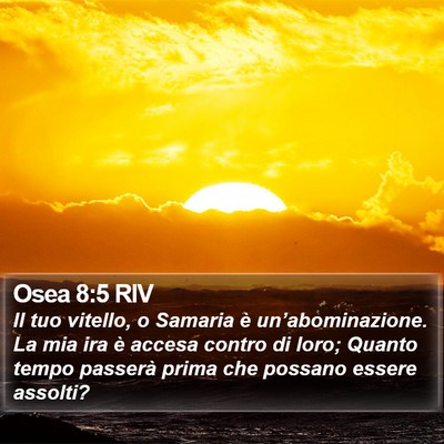 Osea 8:5 RIV Bible Verse Image