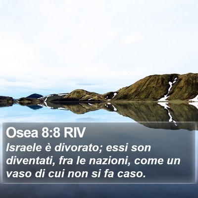 Osea 8:8 RIV Bible Verse Image