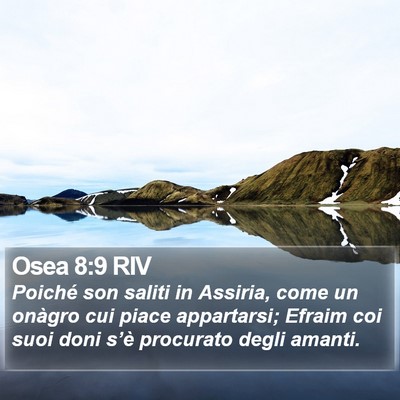 Osea 8:9 RIV Bible Verse Image