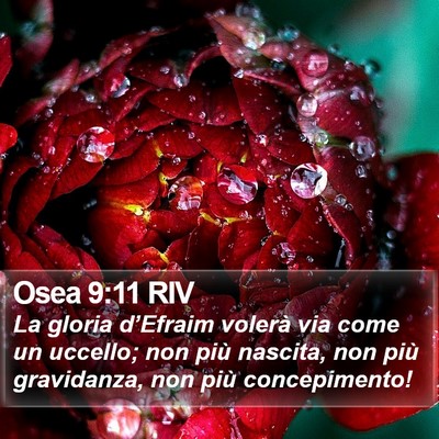 Osea 9:11 RIV Bible Verse Image