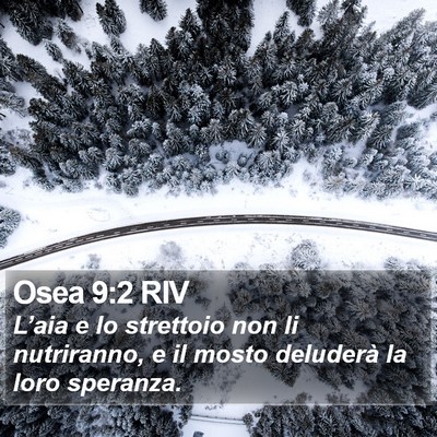 Osea 9:2 RIV Bible Verse Image