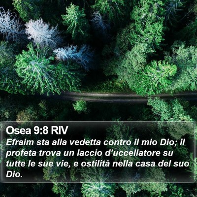 Osea 9:8 RIV Bible Verse Image