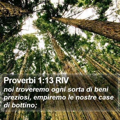 Proverbi 1:13 RIV Bible Verse Image