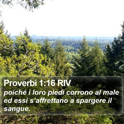 Proverbi 1:16 RIV Bible Verse Image