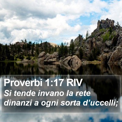 Proverbi 1:17 RIV Bible Verse Image