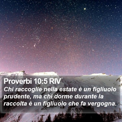 Proverbi 10:5 RIV Bible Verse Image