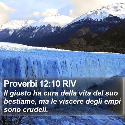 Proverbi 12:10 RIV Bible Verse Image