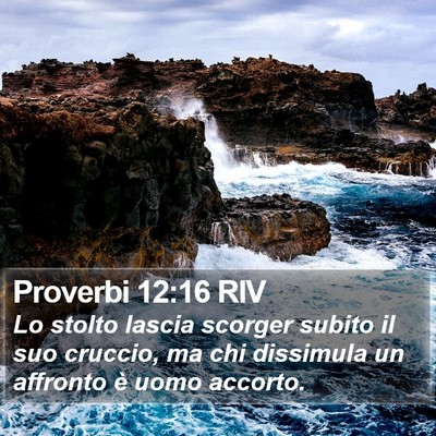 Proverbi 12:16 RIV Bible Verse Image
